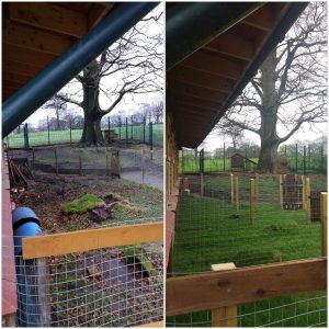 The before and after pictures of the outdoor pens at Pets Corner.