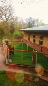 The completed outdoor pens at Pets Corner.